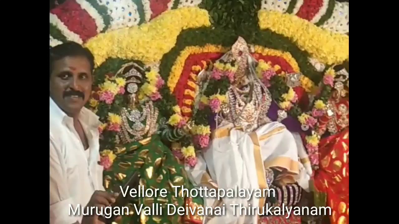 # Vellore Thottapalayam Murugan Valli Deivanai Thirukalyanam