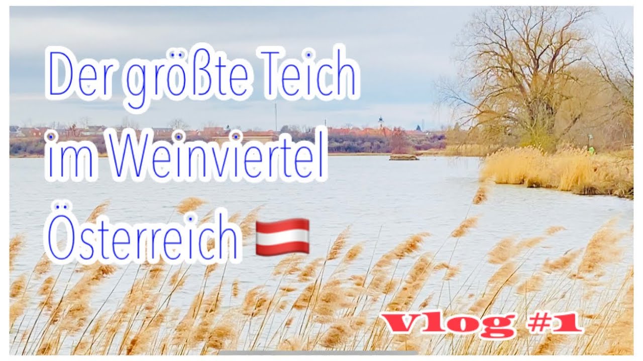 BERNHARDSTHALER TEICH DIE GRÖßTE WASSERFLÄCHE IM WEINVIERTEL - NIEDERÖSTERREICH - ÖSTERREICH.