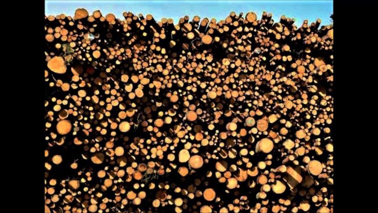 The Folkswingers - Norwegian Wood