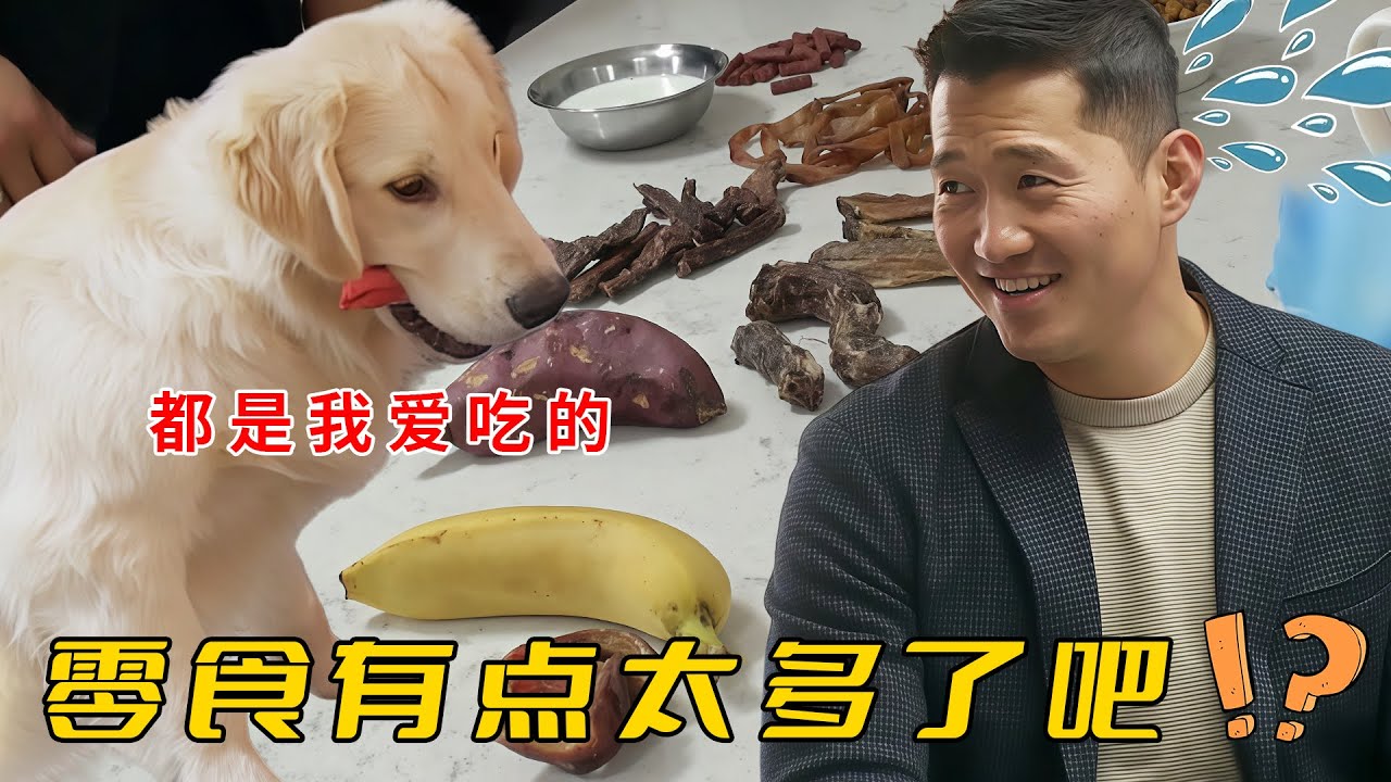 主人每天餵狗吃十幾種零食，被舉報上節目嚎啕大哭，訓犬師自嘲不應該來