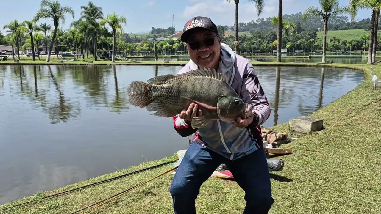 Uma hora e meia de ação, muitas tilapias 