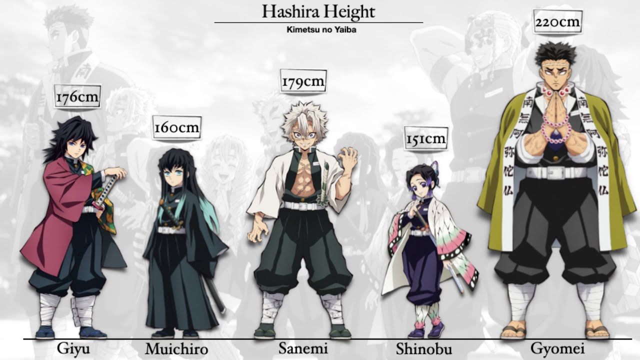 Hashira Height
