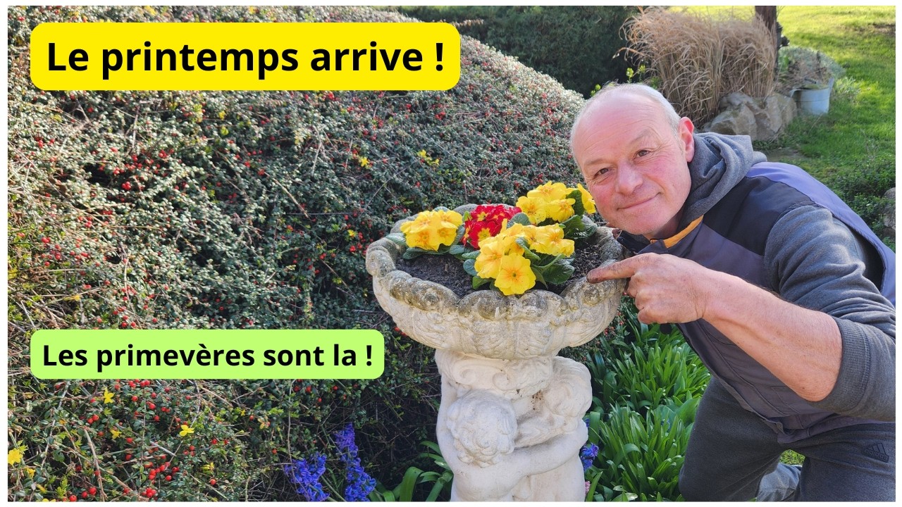 Le live  de 6h13  le 15 Mars avec vous      1, 2 degrés !  !