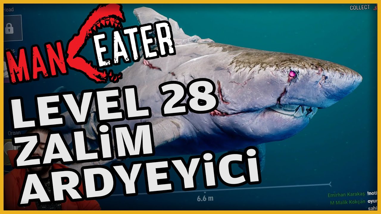 MANEATER - Maksimum GöD Yeme! - #BuNeymiş - #üçbeşbölüm