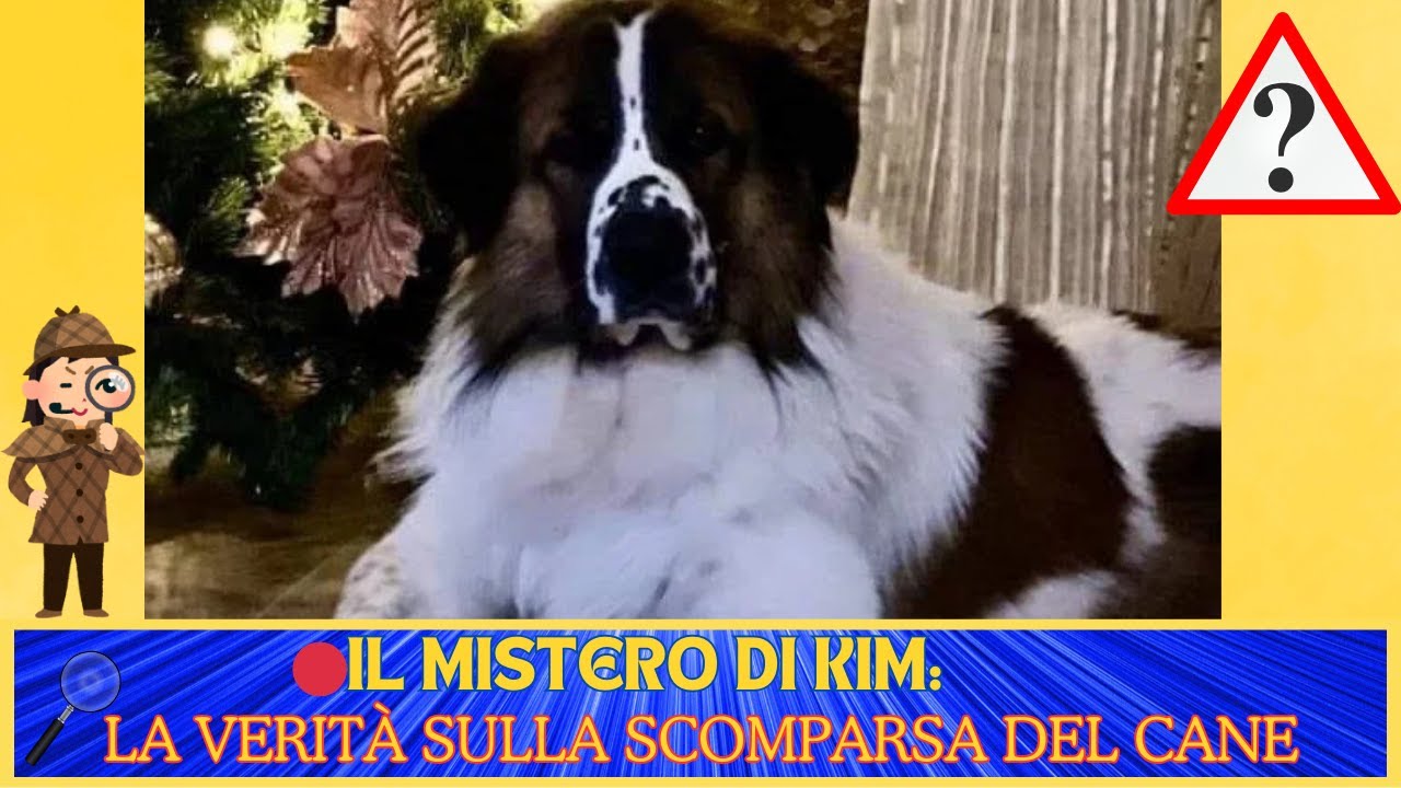 🔴IL MISTERO DI KIM: LA VERIT&Agrave; SULLA SCOMPARSA DEL CANE