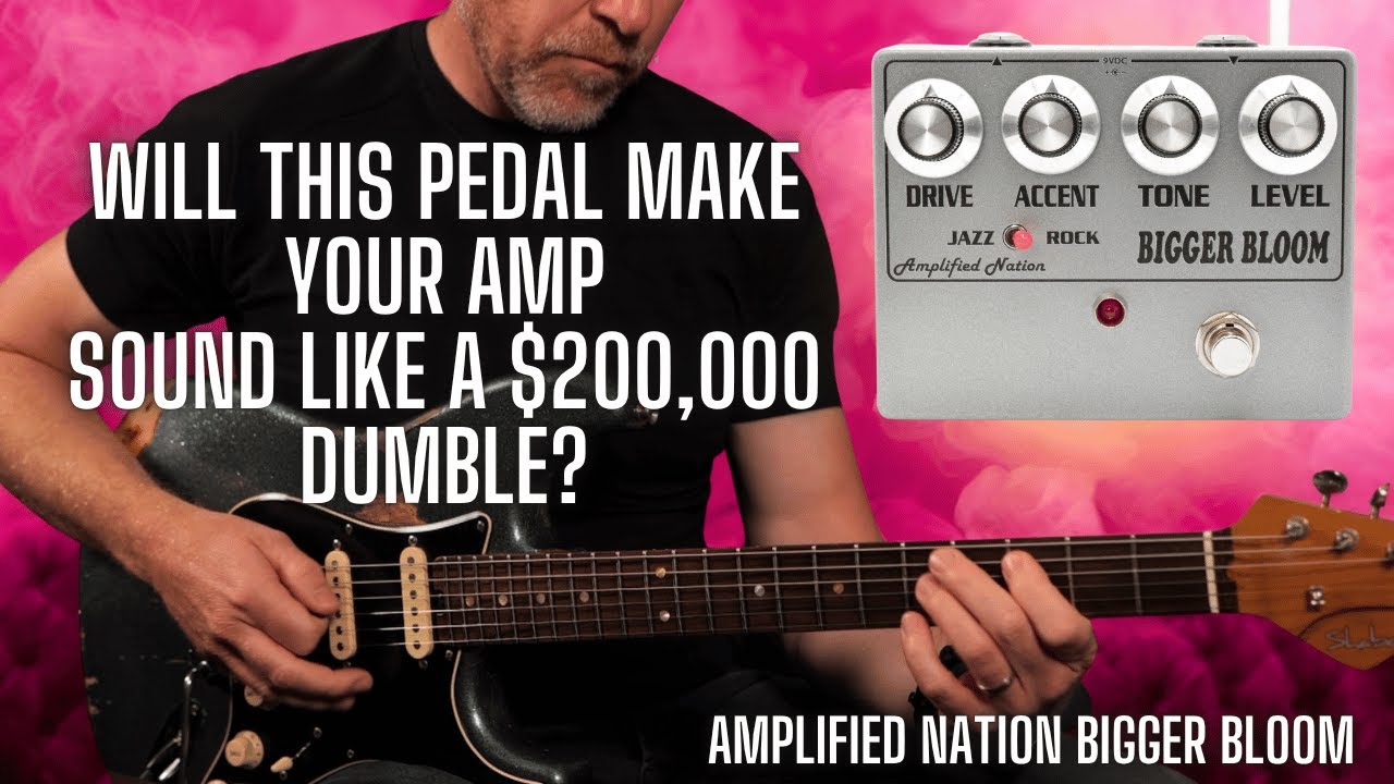 Will This Guitar Pedal Make Your Amp Sound Like A $200,000 Dumble? Amplified Nation Bigger Bloom