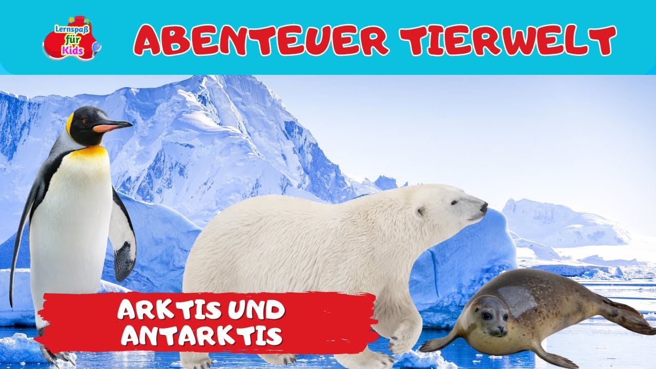 Abenteuer Tierwelt | Arktis und Antarktis | Tiere lernen für Kinder und Kleinkinder