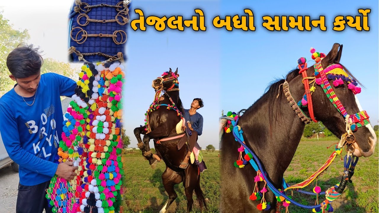તેજલનો બધો સામાન કર્યો 😍|| સામાનમાં ધૂળ ચડિ ગયતી || તેજલની બધી લગામ કાઢી..
