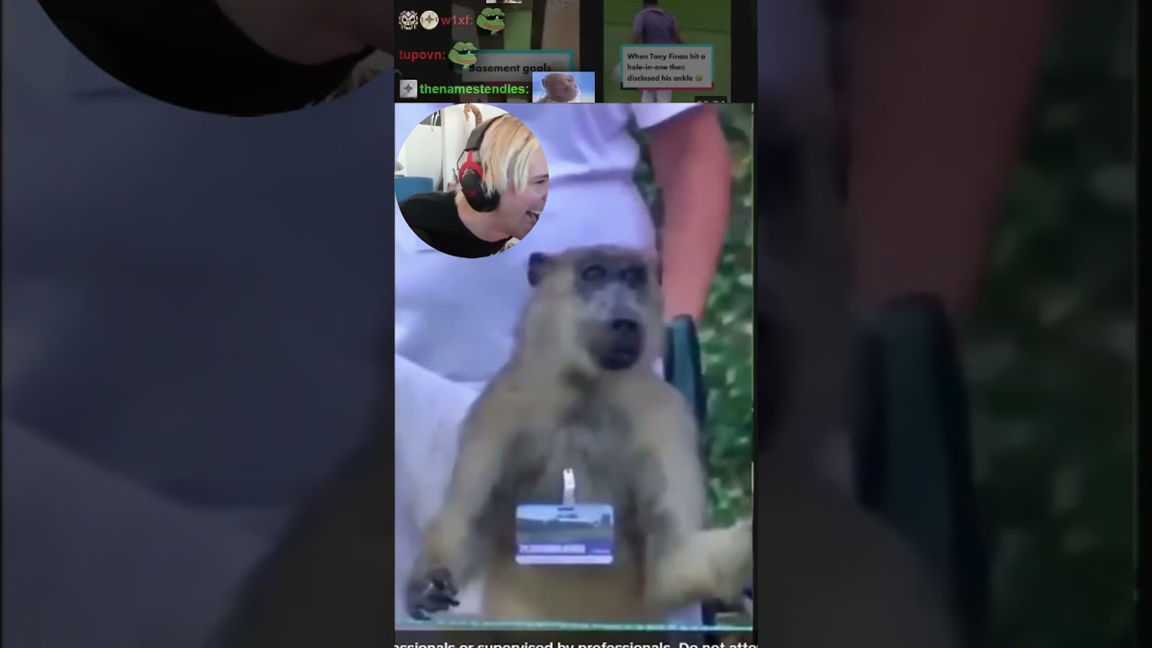 xQc Unable To Stop LAUGHING Compilation part 12 #funny #meme #tiktok