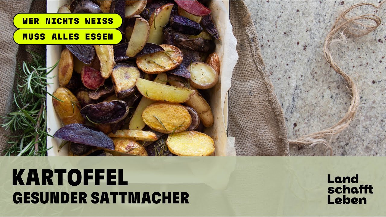 KARTOFFEL (4/4) Gesunder Sattmacher - Kochtypen, Sorten, Züchtung
