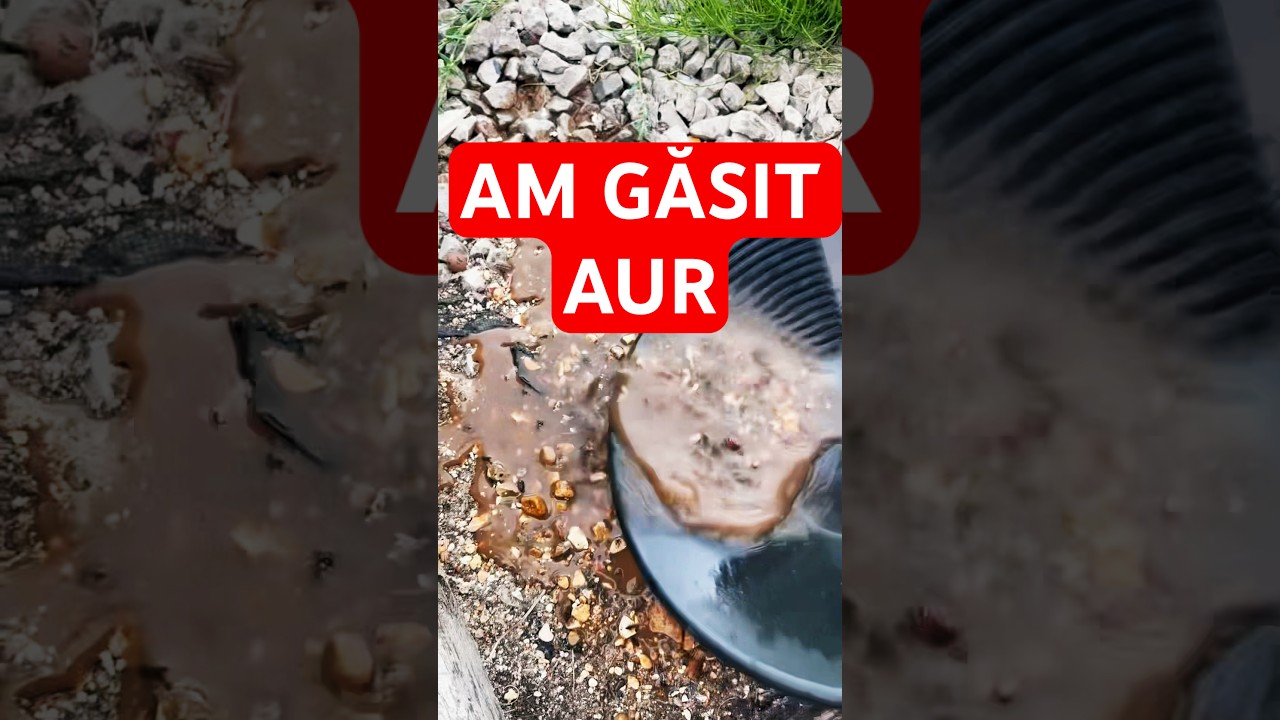 Am Gǎsit AUR. Locatie aparent bogata in #aur #quartz #romania