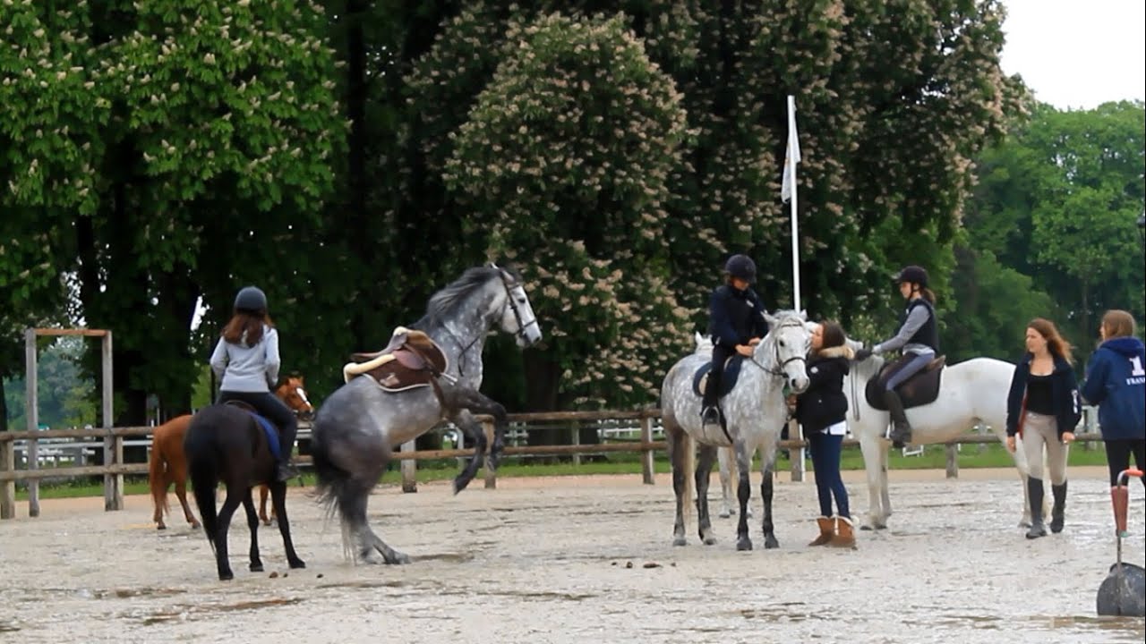 Happiness ♡ - Haras de Jardy [ Horse riding falls ]