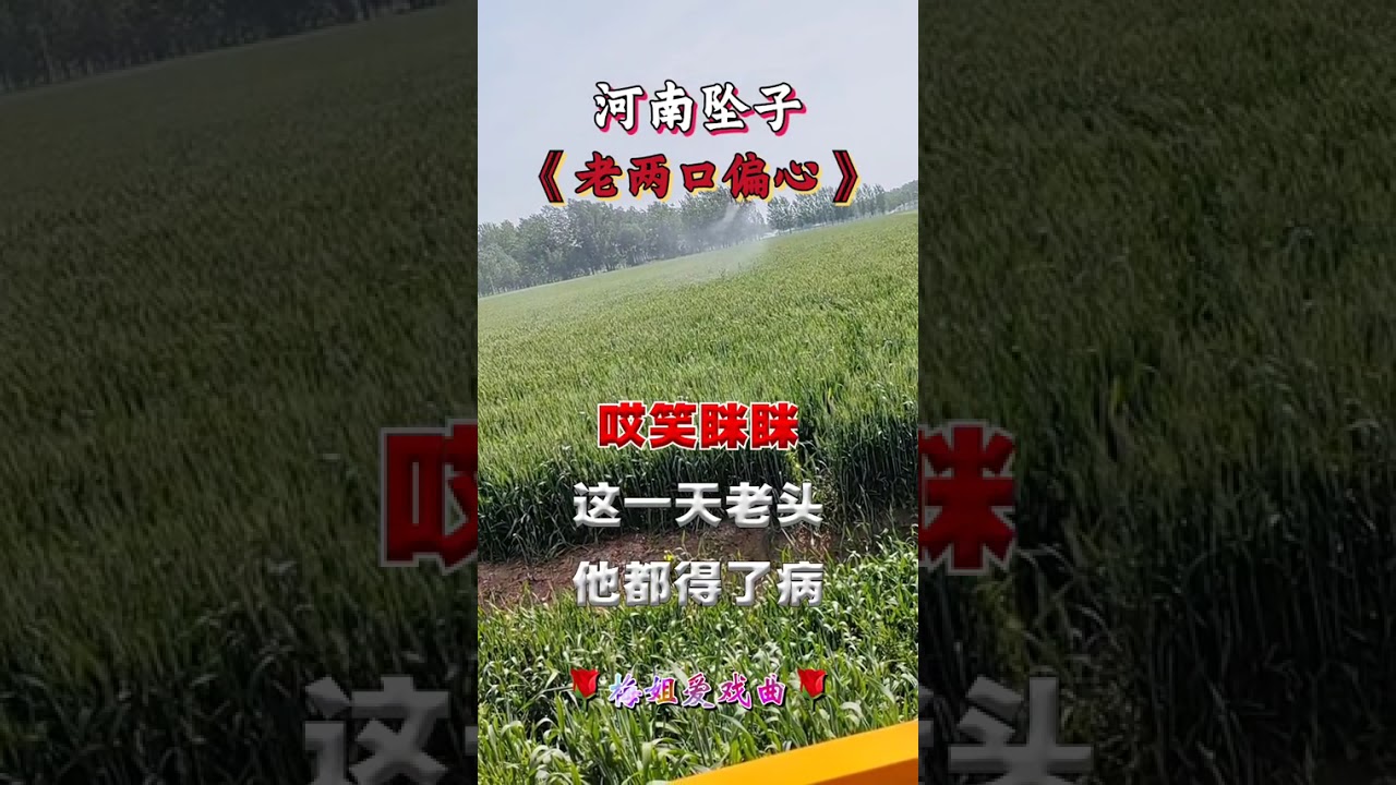@#坠子（老两口偏心）#分享给大家 #谢谢聆听与支持