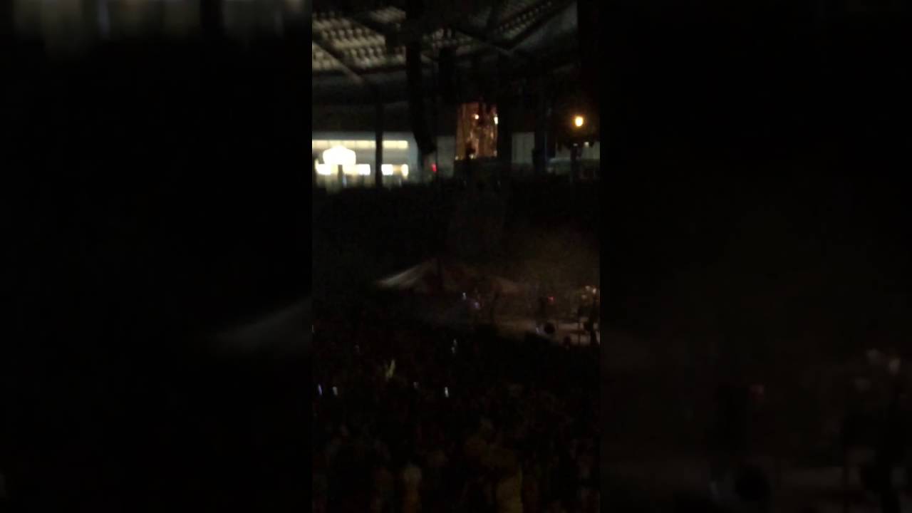 Run Buzz Beach Ball 2015