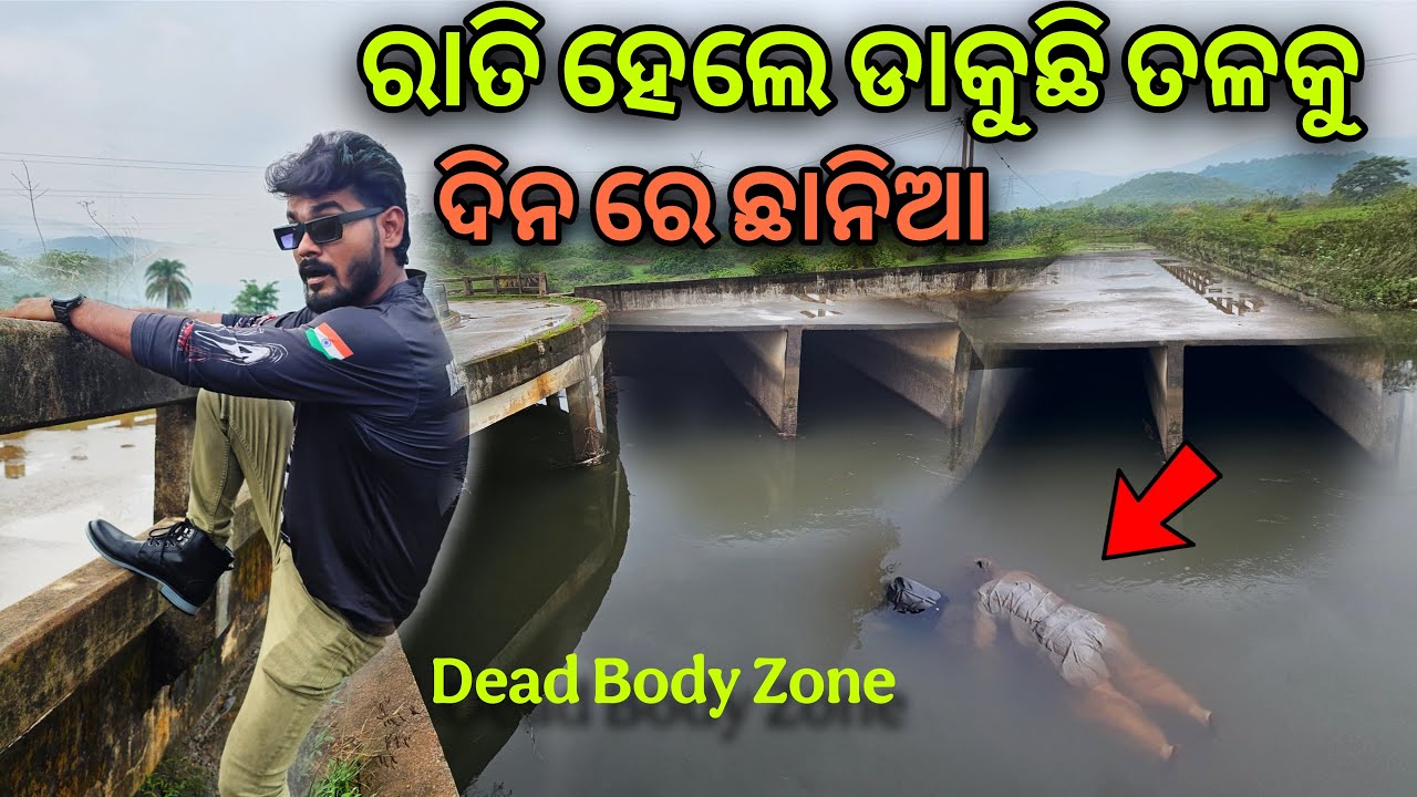 ଦିନ ରେ ଛାନିଆ ରାତି ହେଲେ ଡାକୁଛି ତଳକୁ 🙄#805