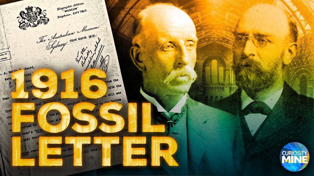 Opalised Fossil Letter from 1916 - Lightning Ridge Opal Fossil History