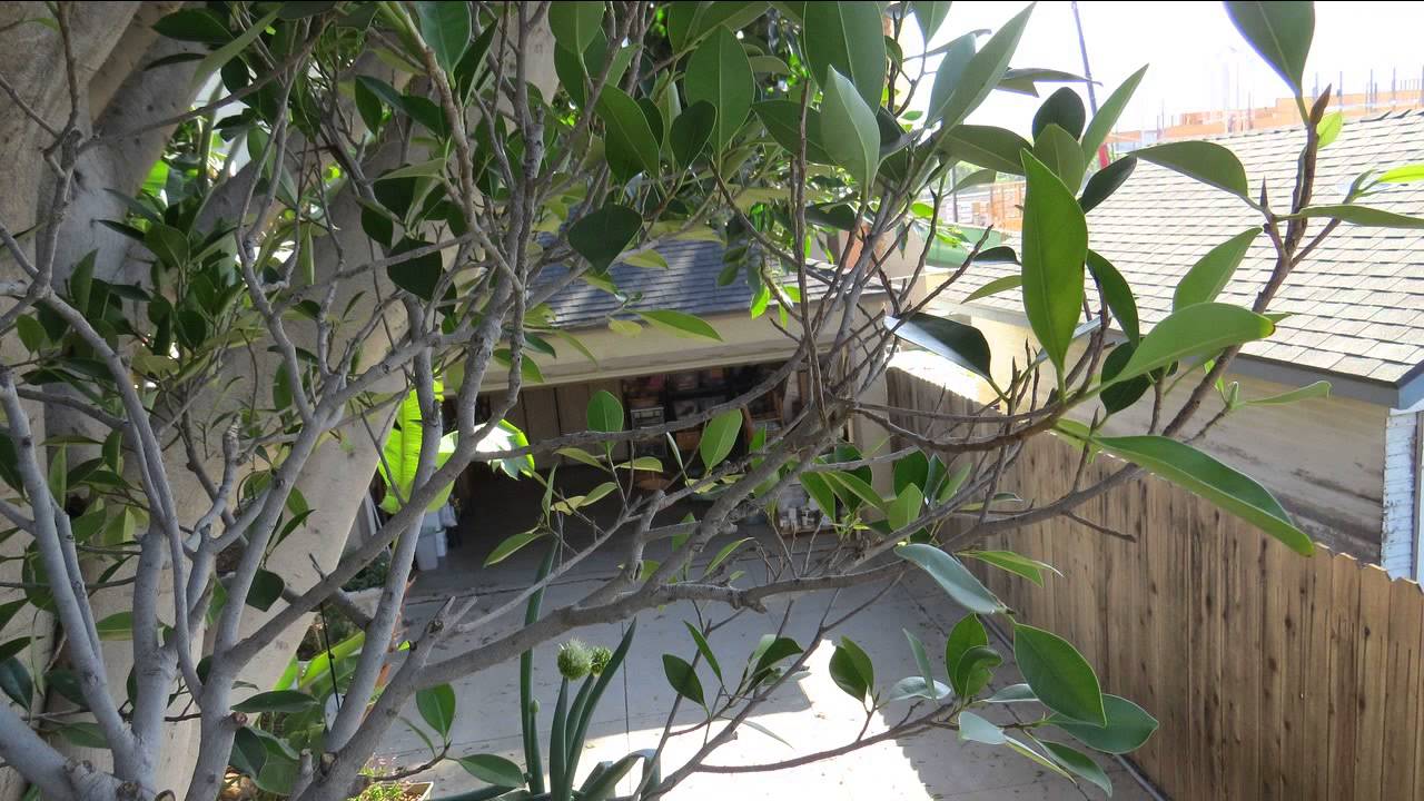 House For Sale in Santa Paula, 2 Bedroom Located in Santa Paula NW Area Amazing  Mountain View