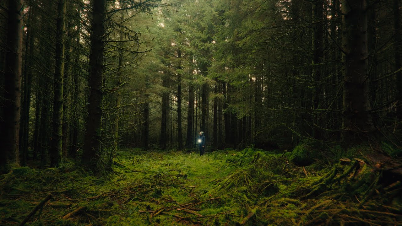 Autumn in Dartmoor