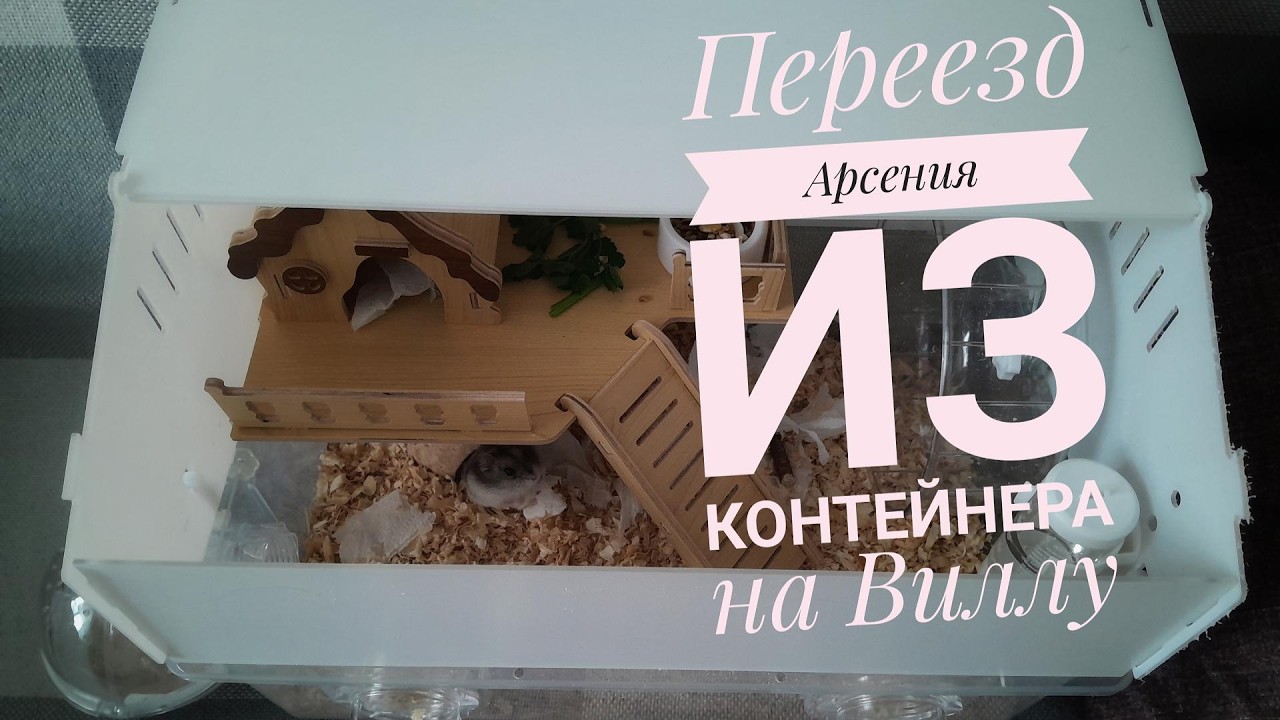 У моего хомяка новый дом!