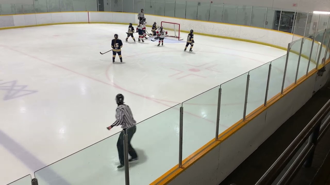 CYGHA U11AA PLAYOFFS-  Game 2 vs Mississauga, February 22nd 2026