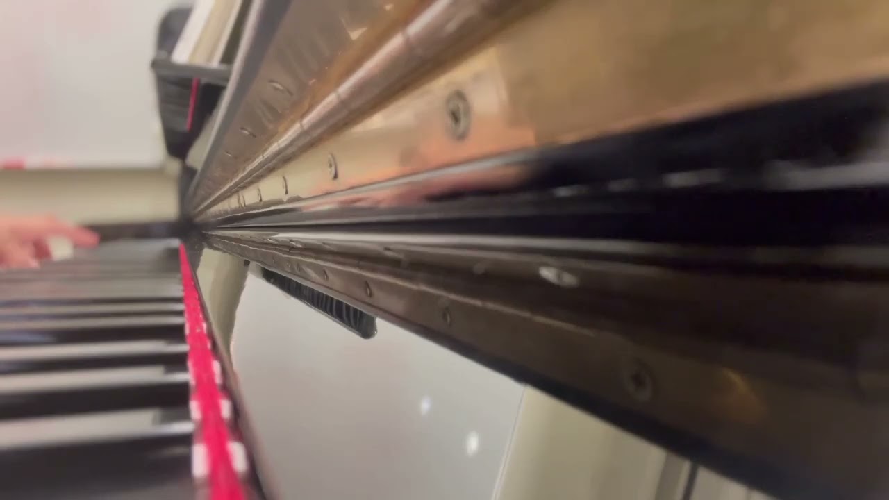 巴哈三聲部C大調  J.S. BACH: Sinfonia 1 in C Major (BWV 787) #piano