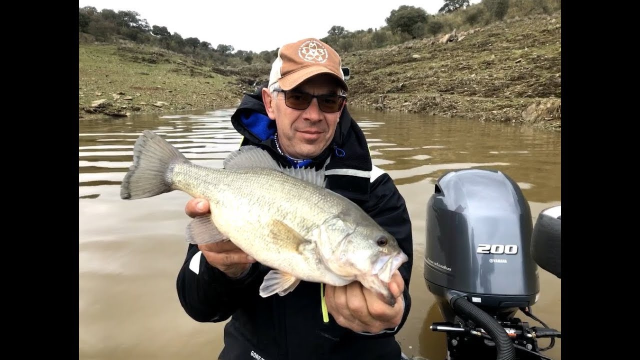 Sibass 2018 Entrainement et compétition