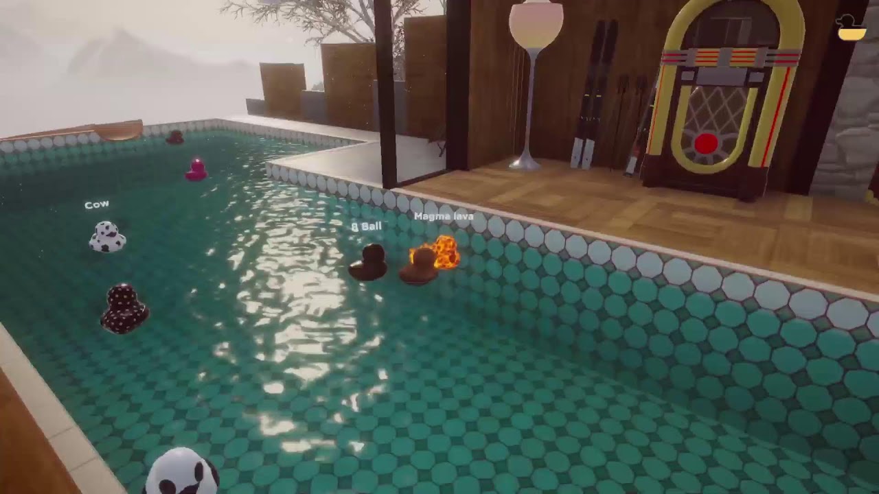 Ducks ASMR