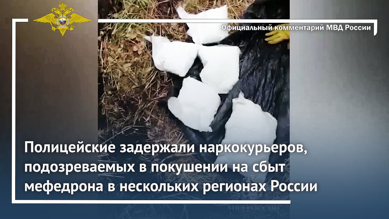 Ирина Волк: Челябинскими полицейскими из незаконного оборота изъято более 28 килограммов наркотиков