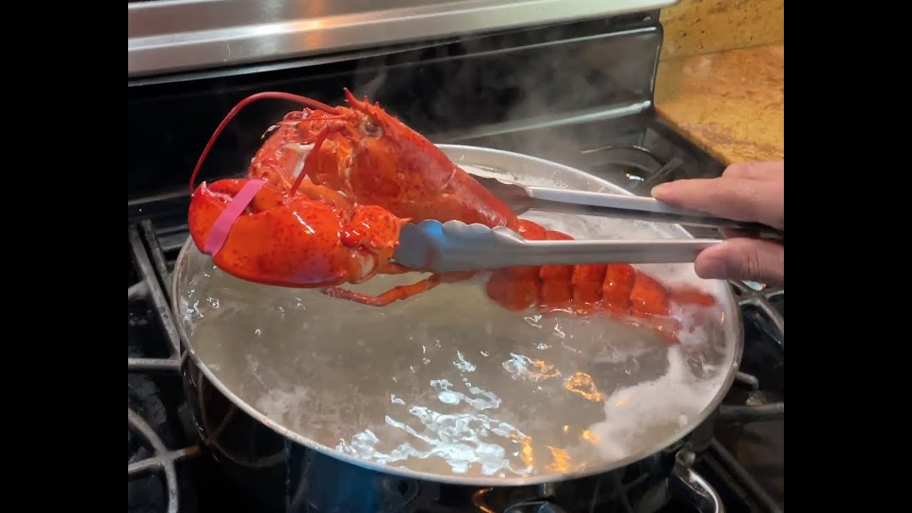 Como Cocinar Langosta (Bagabante)