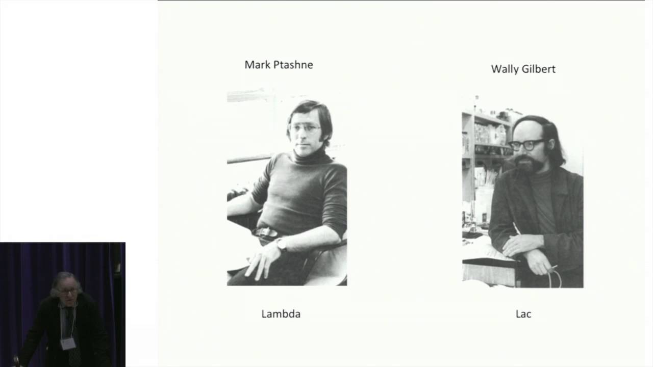 Mark Ptashne '61: Genetic Switches