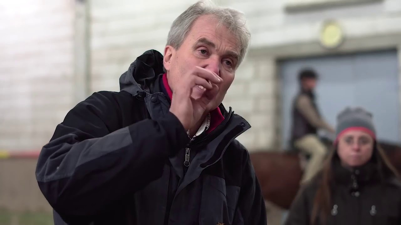 Gerd Heuschmann - Wie läuft das Pferd