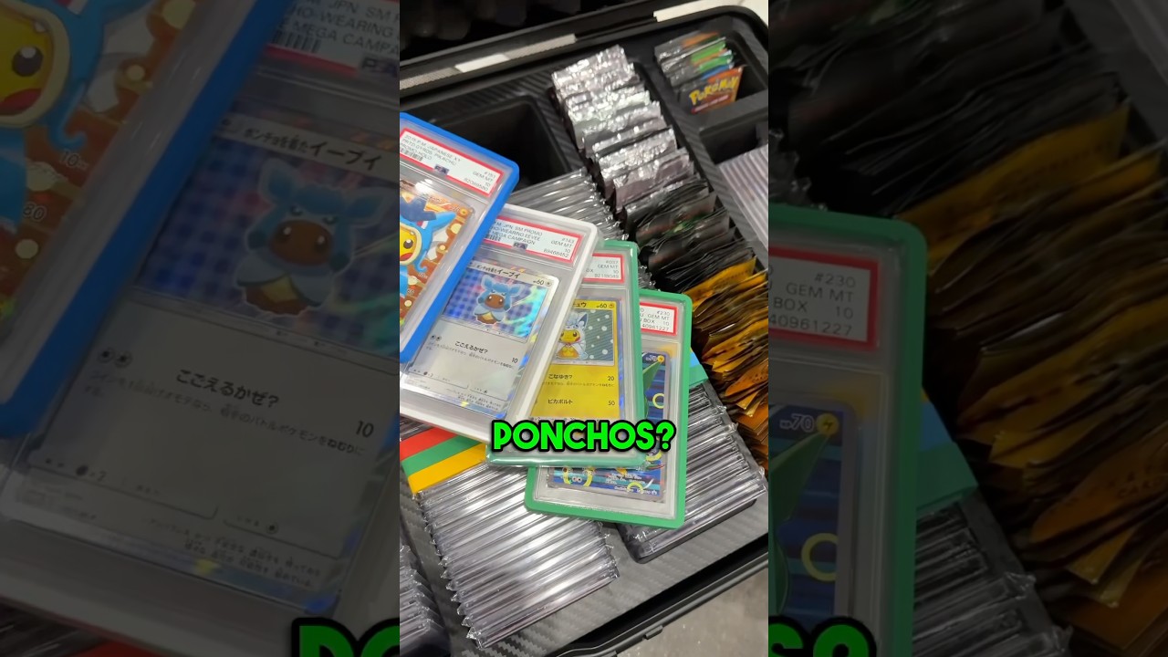 What Pokemon Cards are INSIDE your Case?!