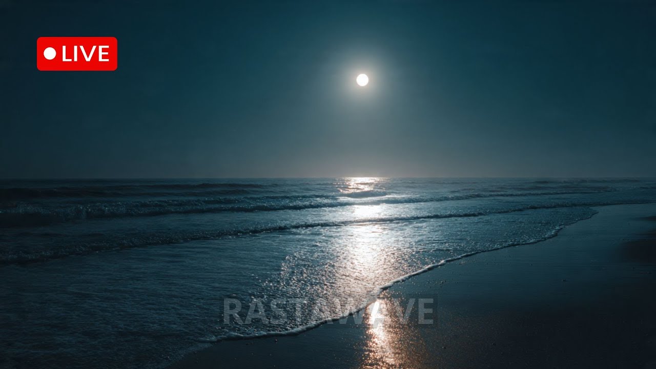 Evening Reggae Live Radio – Smooth & Relaxing Vibes