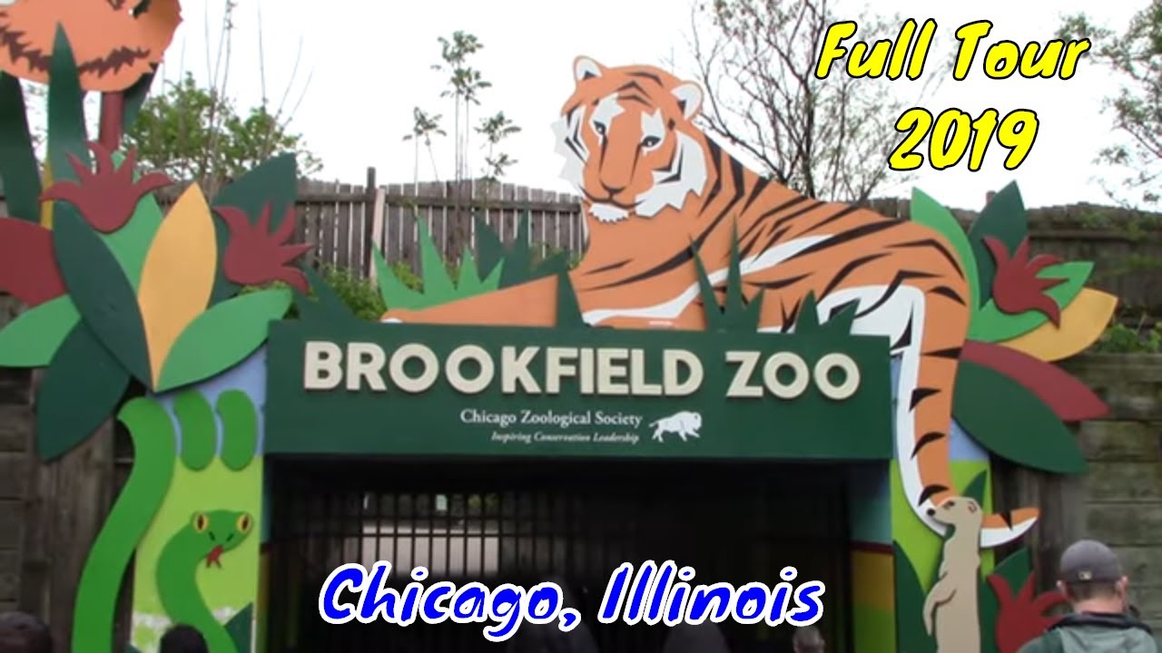Brookfield Zoo Full Tour - Chicago, Illinois