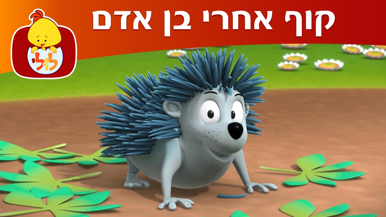 קיפוד - קוף אחרי בן אדם 2 - ערוץ לולי