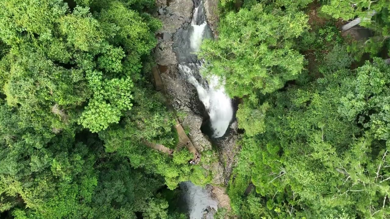 Natural Arch - Gold Coast Hinterland