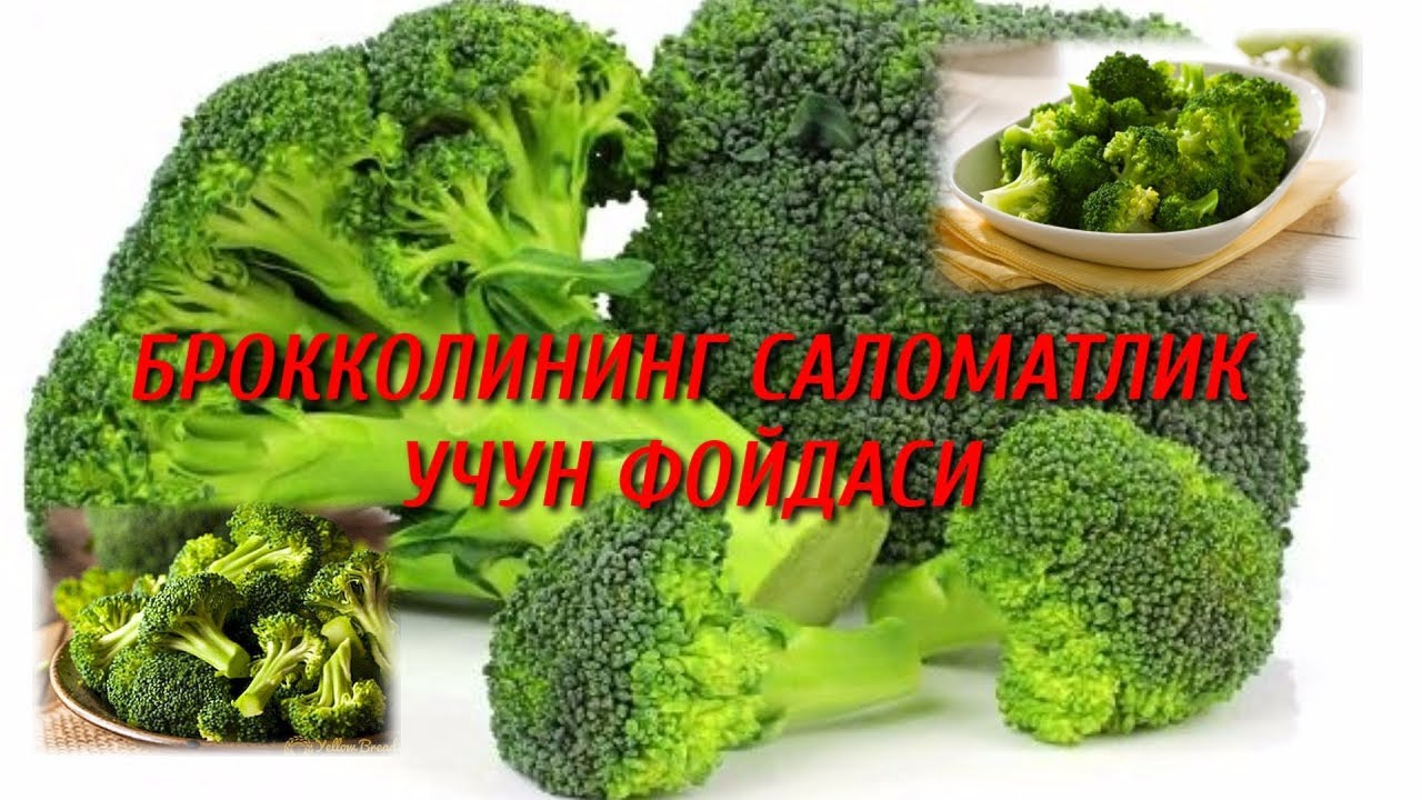 Brokkolining siz bilmagan foydasi. Брокколининг сиз билмаган фойдаси.