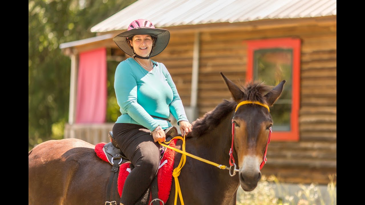 How to Ride A Horse And Not Fall Off