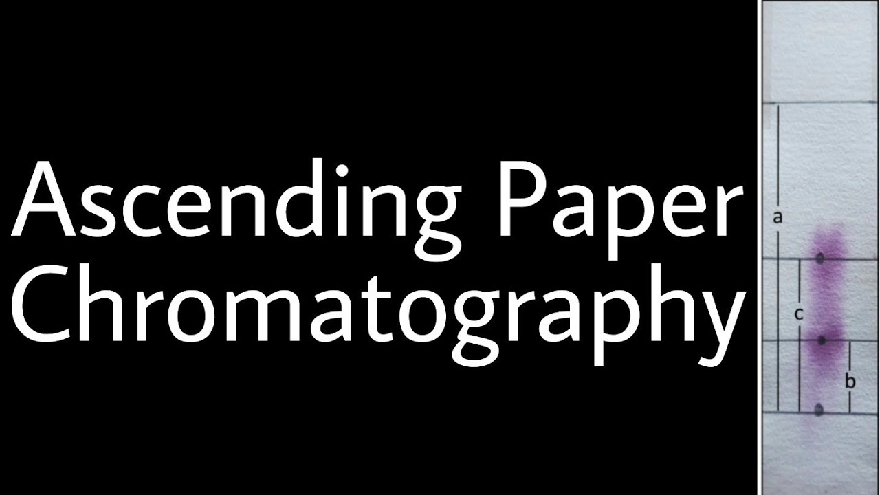 Ascending Paper Chromatography - Rf Values of Amino acids By DDD🕶G.S.C. Bhilad
