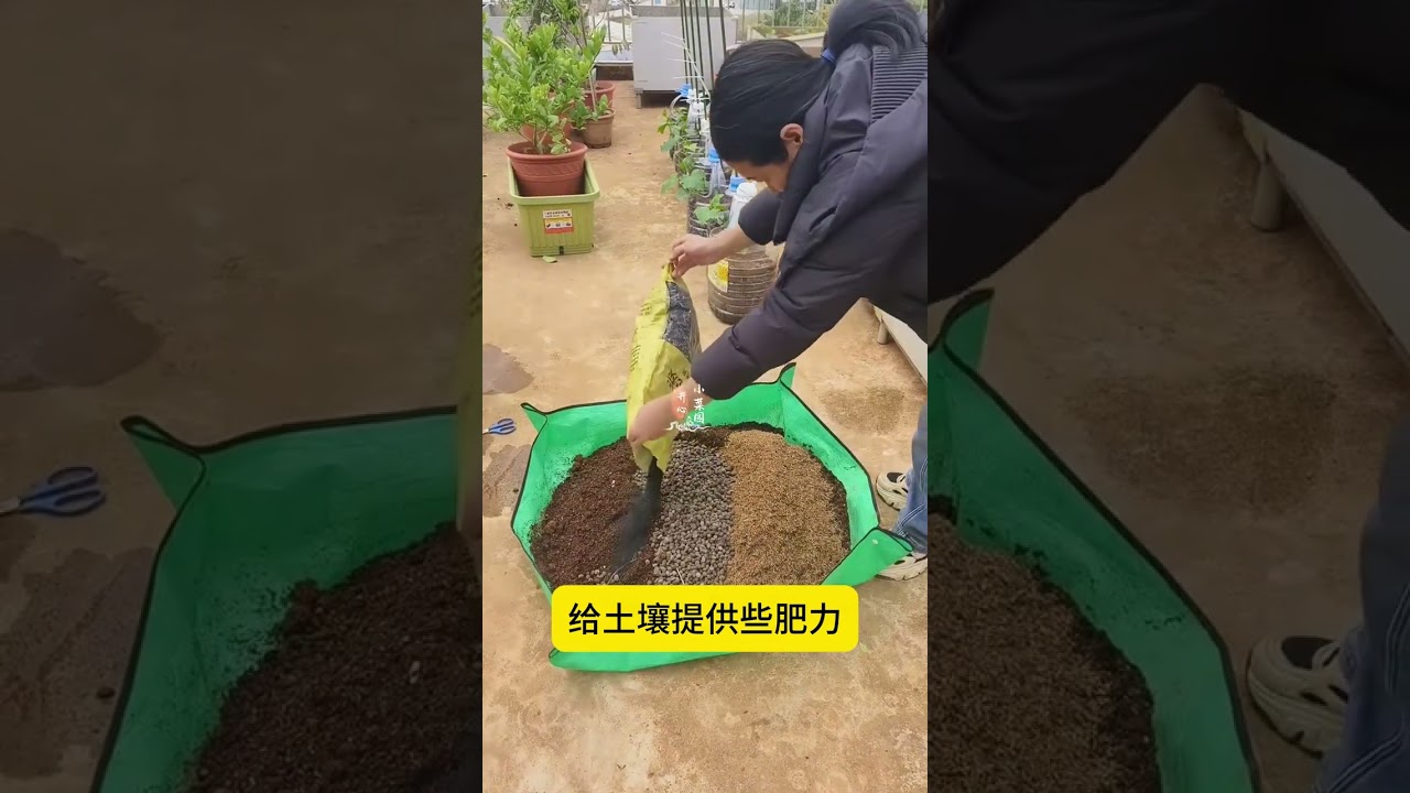 春播前必學的配土技巧 