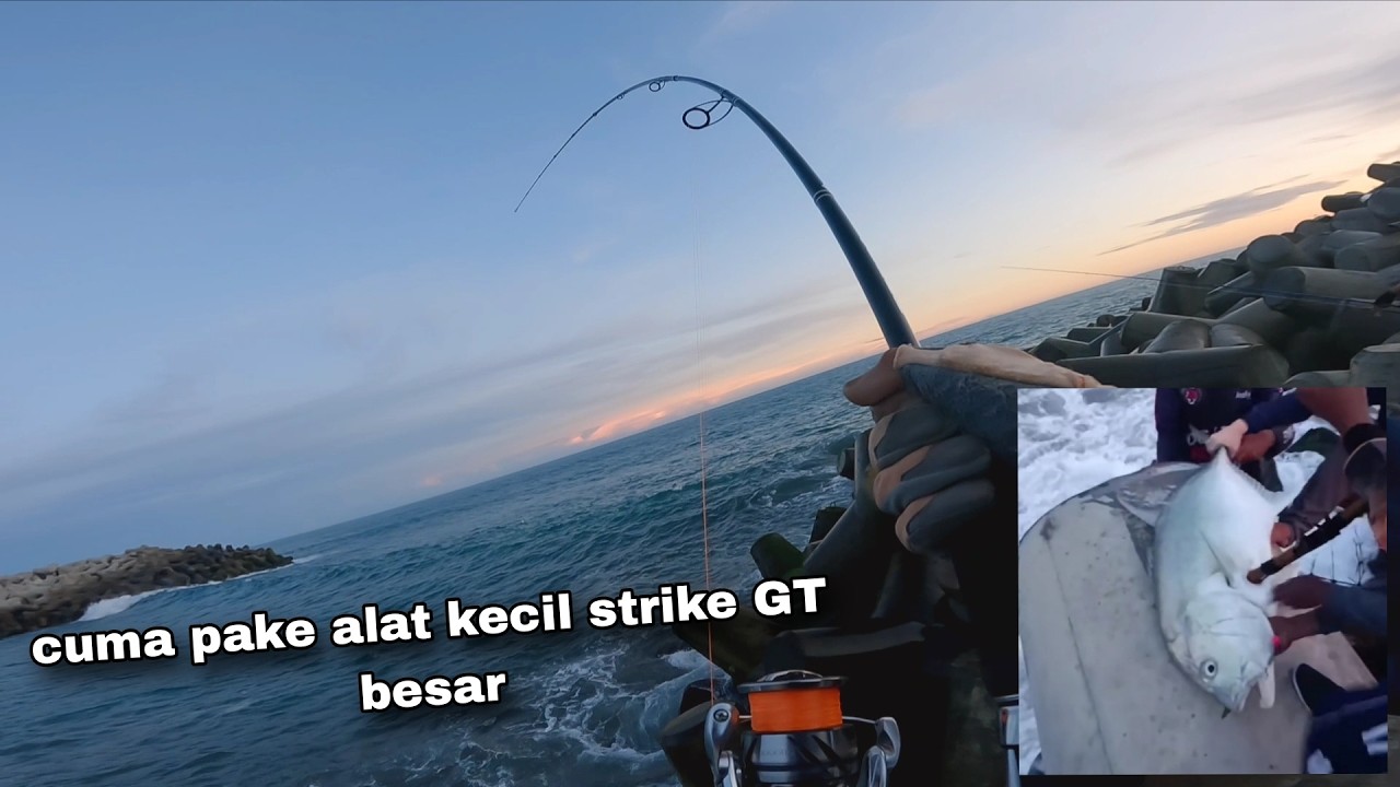Full strike monster GT 25kg  dari pinggiran pantai