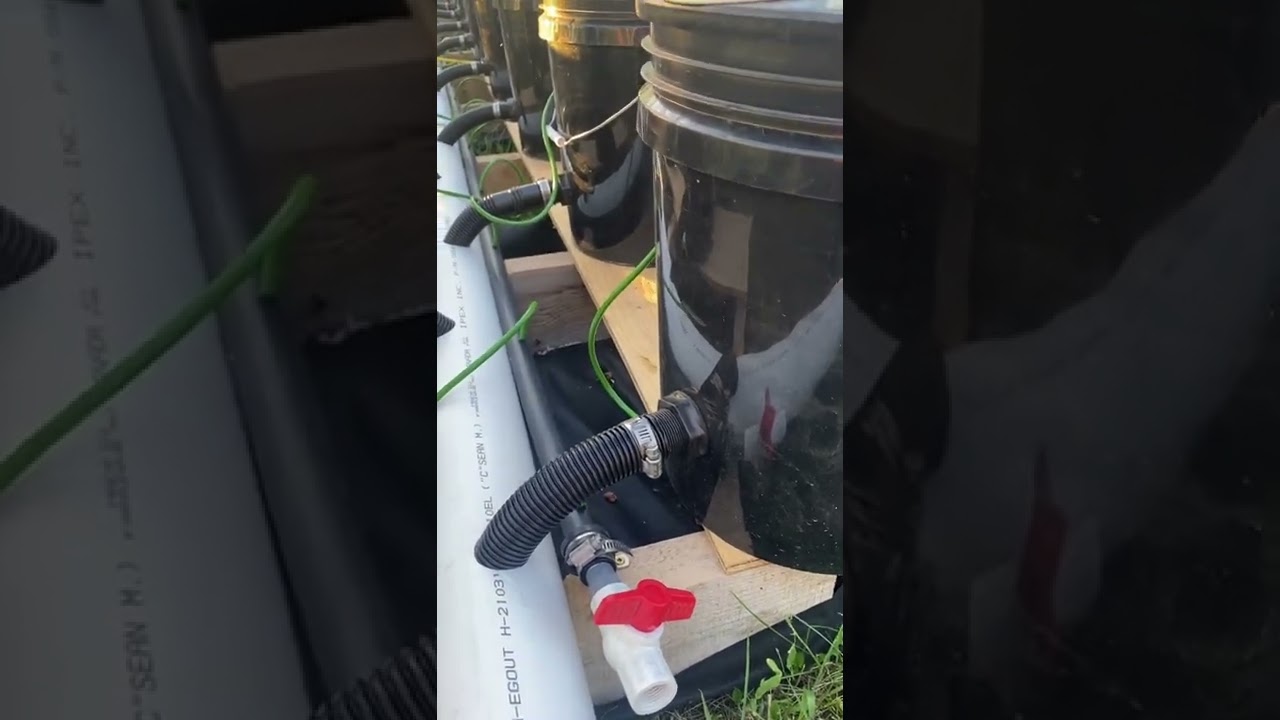 100 rdwc bucket project