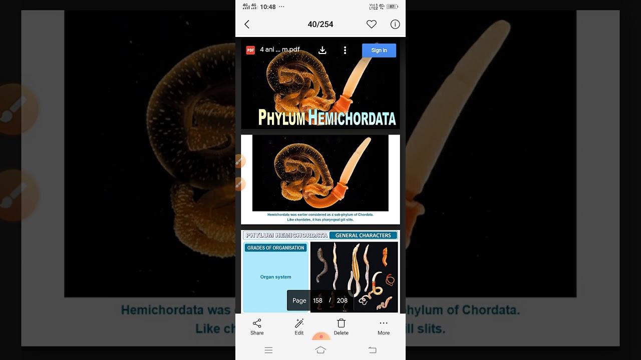 Hemichordates
