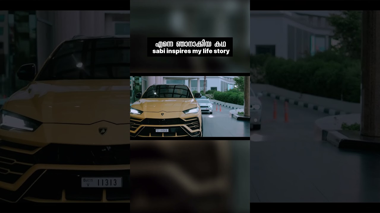 കടന്നുവന്ന വഴികളിലൂടെ ഒരു സഞ്ചാരം | Story of Sabi Inspire