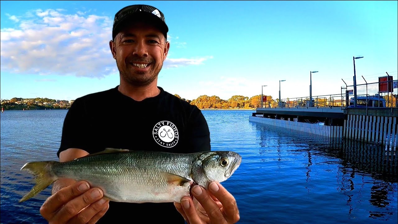 Love This Little Jetty Swan River Landbase Fishing