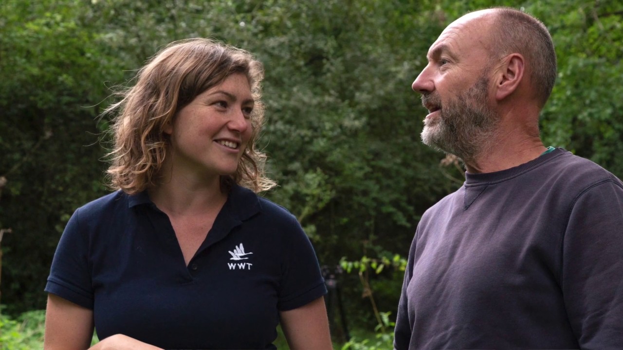 How Natural Flood Management (NFM) Works: Slowing the Flow | WWT