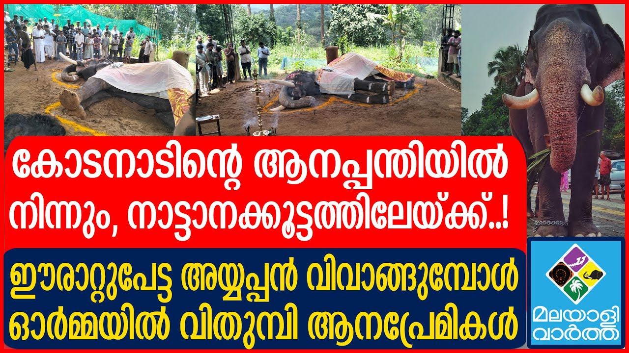 സർവ്വലക്ഷണങ്ങളും അയ്യപ്പനിൽ,  ആവേശം | ERATTUPETTA AYYAPPAN