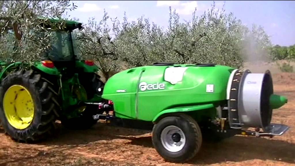 La mosca del olivo