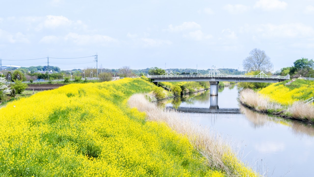 埼玉県さいたま市見沼区ライブカメラ Saitama Saitanashi Live camera.world.cam