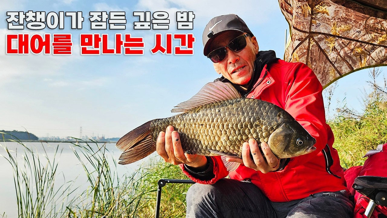 첫 추위에 허릿급 대어 #붕어낚시 #무료낚시터